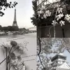yudex_7