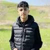 bashdarrrr