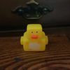 duck6._