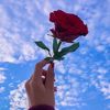 the_brightsun55