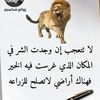 khadeja.toama