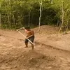 mikls.zsugovits