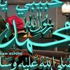 user70338287953158
