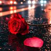 mhemed_05