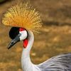 samah.ibrahim122