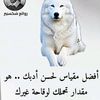 rqaadzibicp