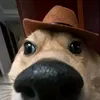 tamagossh