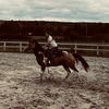 ali...cowgirl