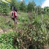 arekarmania2