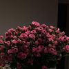yossra.mohammed8