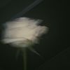 shukriya_843