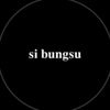 si_bungs4