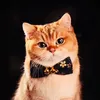 meowkiwi.com