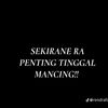 _andre_803