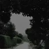 emmetroi007
