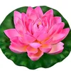 nufar55