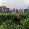 ratih2309