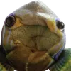 sevenill3