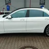 stallion492