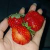 nrulhdyah___