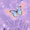 account_not_found_3332