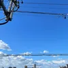 0ub25312d1d