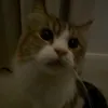 George