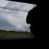 dino_ondnd