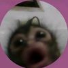 whodafu.iswed