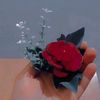 javaidiqbal5547