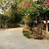 vit.nguyn.cm
