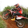 user397006262116385