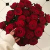 asya62445
