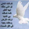 user8397737208115