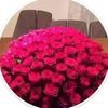 user66169374624461