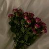 noon5_3