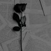 user2790902152268