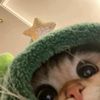 menna_ahmed0.3