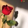 tim3_moh2