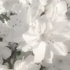 star_girly
