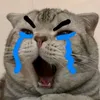 sumi.hong8