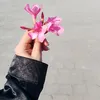 ay_di003