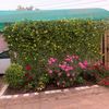 .aalaa8