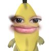 sam_dr02