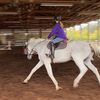 equestrian.adeline