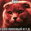 part1_nersik
