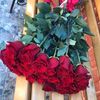 hicham.dz718