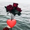 user7857851133519