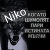 niko.geldi