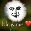 d1areah_expl0siva